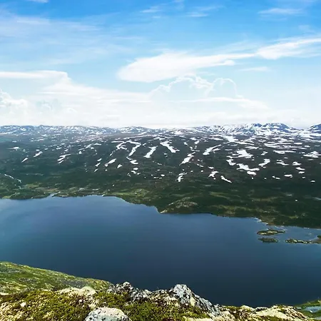 Fantastisk I Leilighet Tyinkrysset